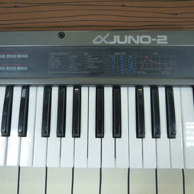 Roland Alpha Juno-2 + PG-300 Programmer + manuals, etc. image 7