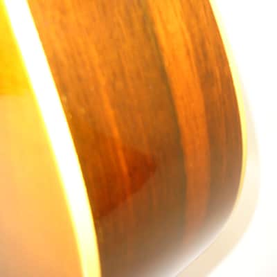 Vintage 1969 Gibson Blue Ridge Acoustic Guitar, Natural w/ Case image 9