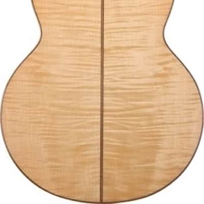 Washburn WJ45S Jumbo Solid Spruce Top Acoustic Guitar w/Hard Case + More image 3