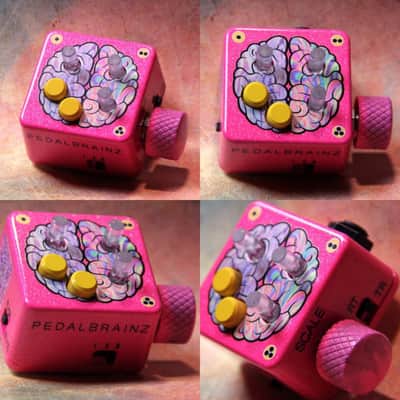 Pedal Brainz Left Brain - Expression Modulator image 3