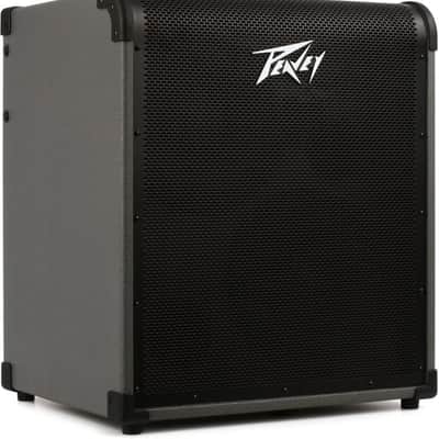 Peavey MAX 300 2 x 10-inch 300-watt Bass Combo Amp image 2