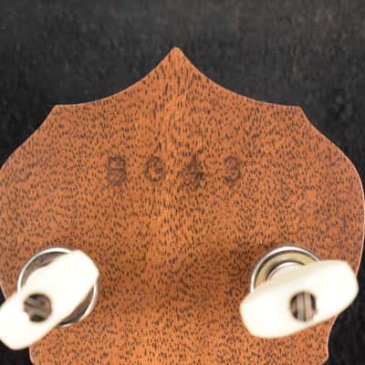 Deering Sierra Mahogany 5-String Acoustic/Electric Banjo with Kavanjo Pick Up image 12
