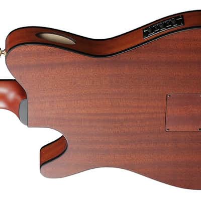 Ibanez FRH10N A/E Classical Guitar - Brown Sunburst Flat image 4