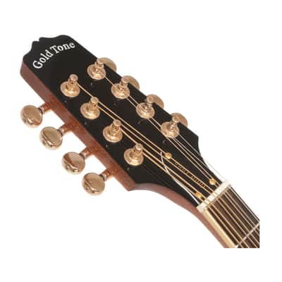 Gold Tone OM-800+ Octave Mandolin - Open Box image 4