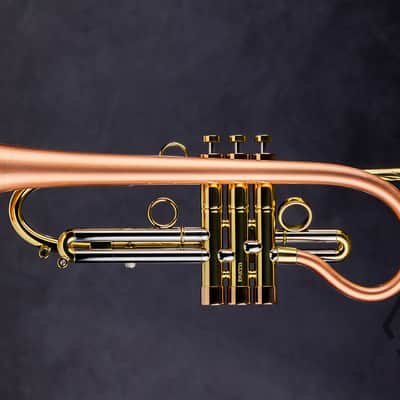 Taylor 46 Balladeer Bb trumpet / flugelhorn hybrid 2020, matte lacquer image 3