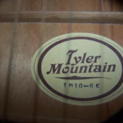 RARE Tyler Mountain TM10-BK Late 90's-2000 Acoustic Guitar VG Condition w/Gigbag image 7