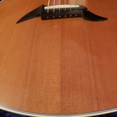 Breedlove FOCUS SE [Master Class] | EIR / Redwood |Serial No. 13830 | Signed Kim Breedlove image 8