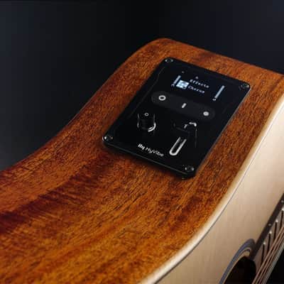 Lâg Guitars THV10DCE | Acoustic Dreadnaught w/ Smart Technology. New with Full Warranty! image 10