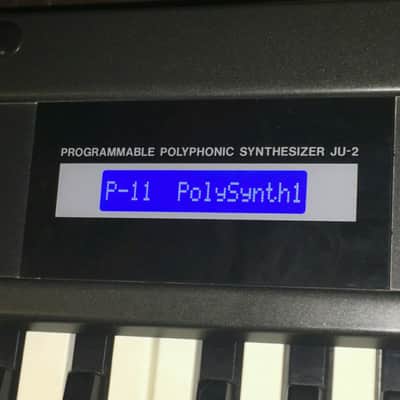 LED Display Upgrade - Roland Alpha Juno-1 Juno-2 Customised (White/Black) (White/Blue) image 2