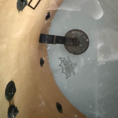 Ludwig Coliseum 14” x 8” Maple Snare Drum 1991 - Black image 19