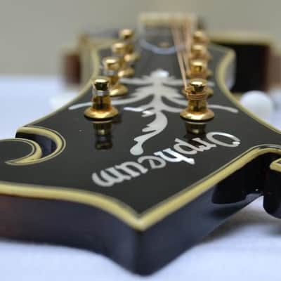 Orpheum OM6SW F-Style Mandolin-All Solid Top, Back & Sides- by Tacoma image 17