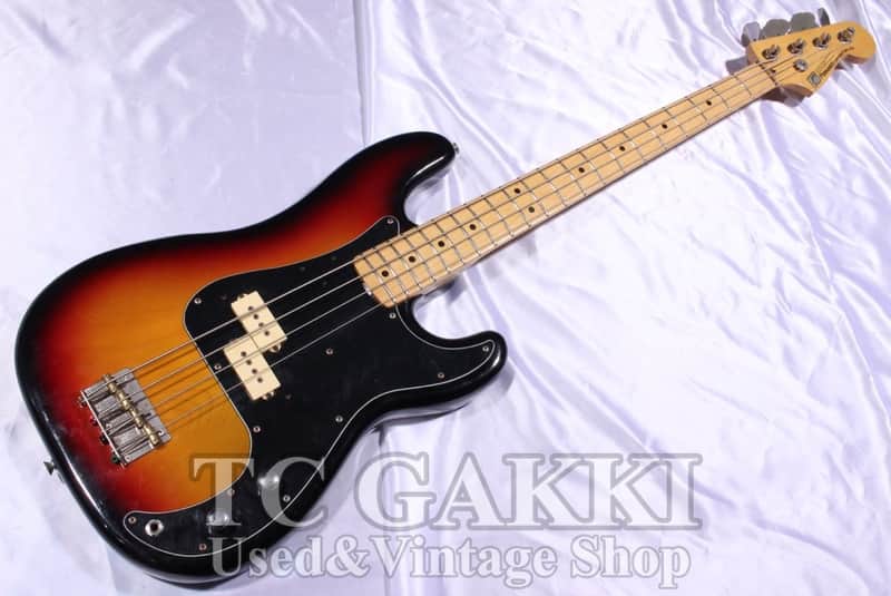 FERNANDES FPB 60 Mod image 1