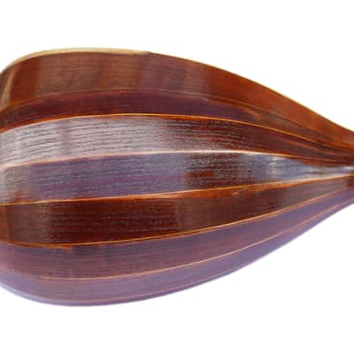 Persian Shourangiz Shurangiz Surangiz String Musical Instrument SHM-3 image 11