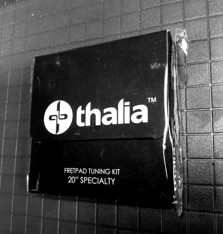 Thalia 20" radius capo insert set for Rainsong, some Carvin, Strandberg, Taylor nylon image 1