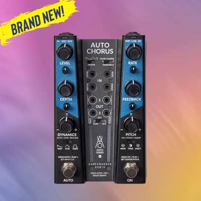 Rockman Stereo Chorus / Delay BBD 100A Guitar Effect Micro Rack