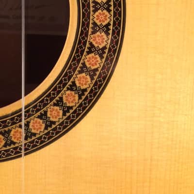 ROBERT GARCIA Classical Guitar #100 2013 image 9