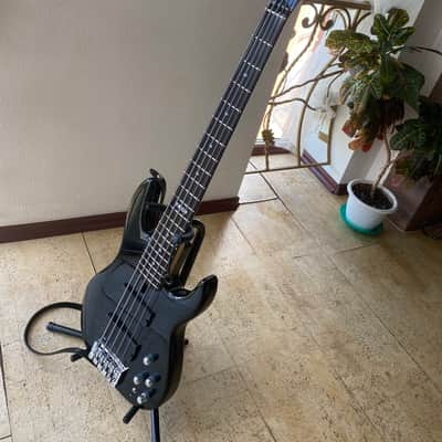 ESP  Surveyor, Standard V Black image 2