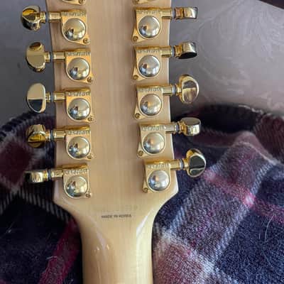 Agile AS820 12 String Semi-hollow Electric Guitar image 3