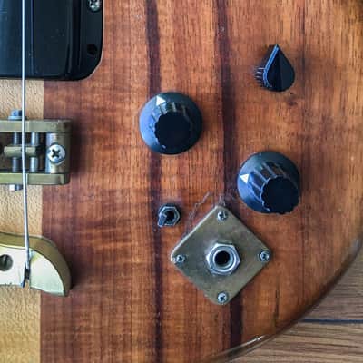 Alembic Spoiler 1982 Vintage Bass w/original case image 5