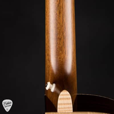 2023 - Goodall Grand Concert Cutaway - Adirondack Spruce & Nicaraguan Rosewood image 10