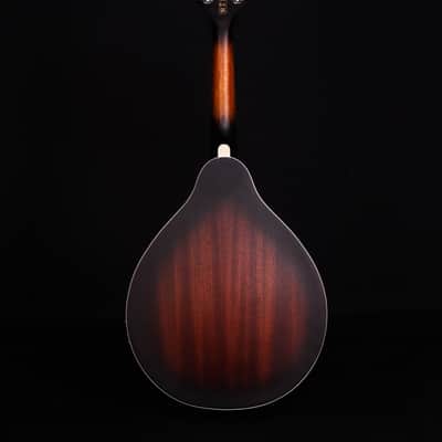 Ibanez M510E A-Style Mandolin, Open Pore Vintage Sunburst image 7