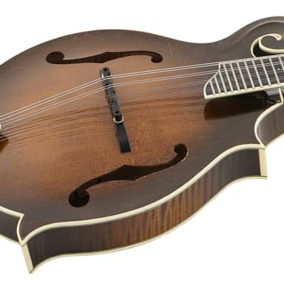 Used Larrivee F-33 Mandolin Sunburst image 6
