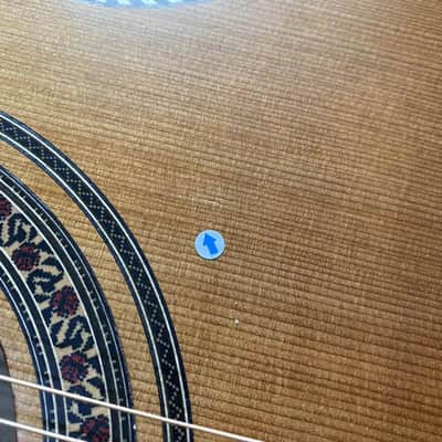 10 String Acoustic Electric Guitar, Solid Red Top Pine Body, Rosewood Fingerboard Neck image 17