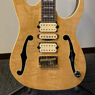 Ibanez PGM10TH Paul Gilbert 10th Anniversary Limited Edition w/ Original Strap, Tags & Paperwork image 7