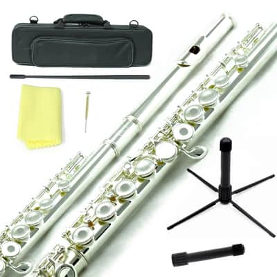 Silver Plated Open Hole C Flute w Case, Stand, Cleaning Rod, Cloth and More image 1