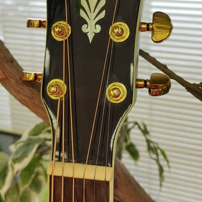 Ibanez AEG240-TRS Thinline Acoustic Electric Guitar w/ Fishman 2014 - Transparent Red Sunburst image 6