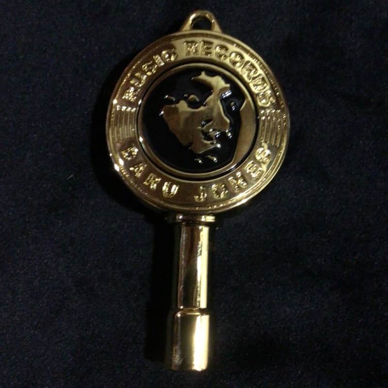 Daru Jones - Gold - Signature Drum Key image 1