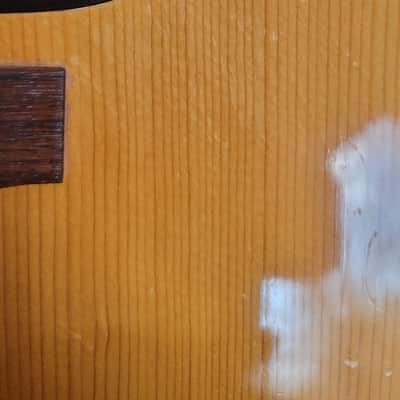 Martin 0018 1971 - Natura image 5