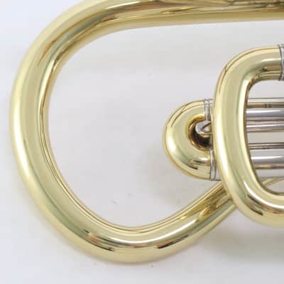 Bach Model 184 Stradivarius Shepherd's Crook Cornet SN 773603 UNUSED image 20