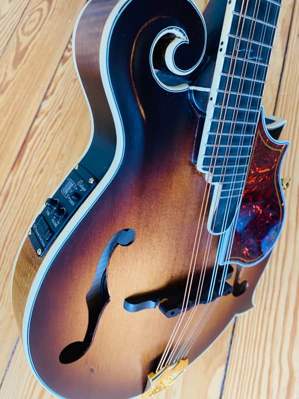 Ortega Mandolin RMFE 100AVO image 1
