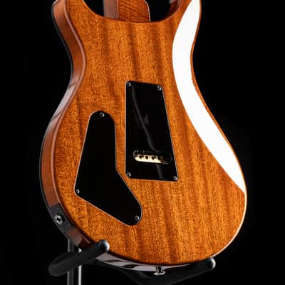 Paul Reed Smith Private Stock Custom 22 Semi-Hollow Electric Tiger Glow image 19