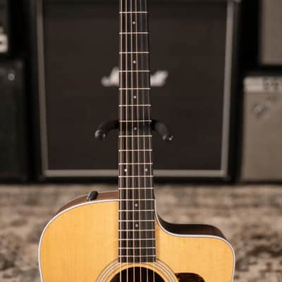 Taylor 210ce Dreadnought Acoustic/Electric Guitar with Gig Bag - Factory Demo image 4