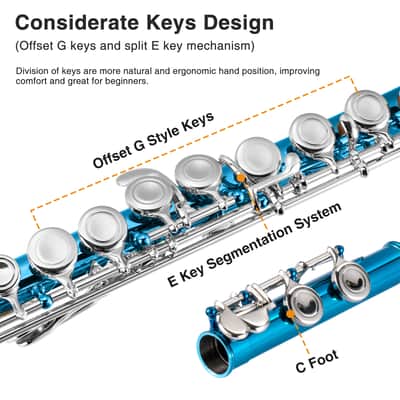 Pogolab Closed Hole Flutes C 16 Key for Beginner, Kids, Student -Nickel Flute with Case Stand and Cleaning kit (Sea Blue) image 2
