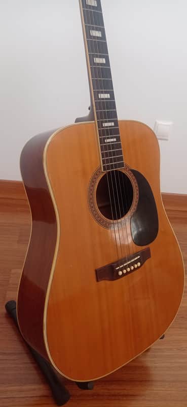 Ibanez Concord