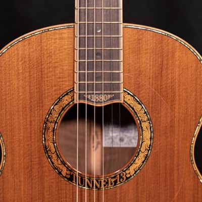 Petros Grand Concert - Claro Walnut/Tunnel 13 Redwood image 4