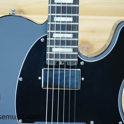 Schecter PT-Ex - Dorian Grey image 4