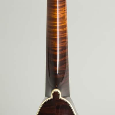Immagine Collings MT2 Carved Top Mandolin (2016), ser. #3641 - 9