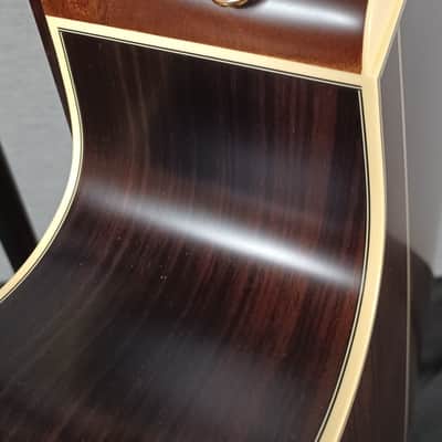 Takamine GB7C Garth Brooks Signature with Soft Shell Case image 8