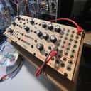 Moog Labyrinth Parallel Generative Synthesizer comes w 5 extra cables