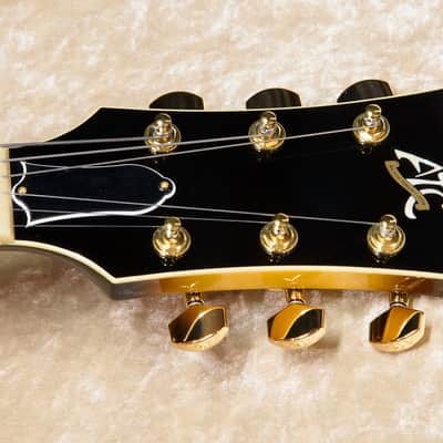 Archtop tribute ATC350BK NEW Early '50s Burst / Hard Case / Made in Japan image 5