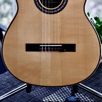 Cordoba C12 650mm Classical Guitar C12 SP/IN  Spruce/Indian Rosewood image 1
