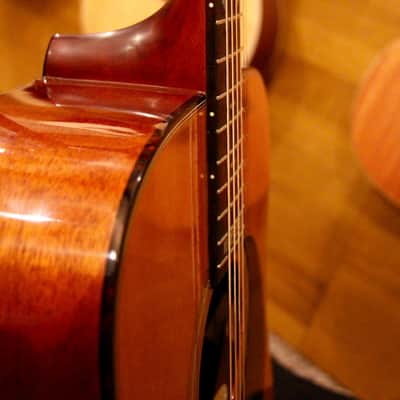 1980 Martin Sigma D-10 Anniversary Rare Grade 10 Solid Spruce/Lam. Mahogany (DM-18) Acoustic Guitar image 14