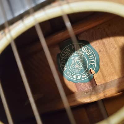 1920's Weymann Mandolute image 4