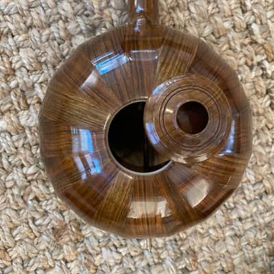 Mohammadi Brothers Kamancheh Kamanche spike fiddle image 11