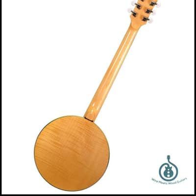 Gold Tone GT-750 Banjitar Deluxe w/case image 2