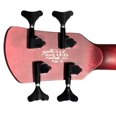 Spector USA Forte, *RARE* 2019 Trans Red Stain, Pau Ferro , USED In Excellent Condition, 8 LBS *IN STOCK* image 11